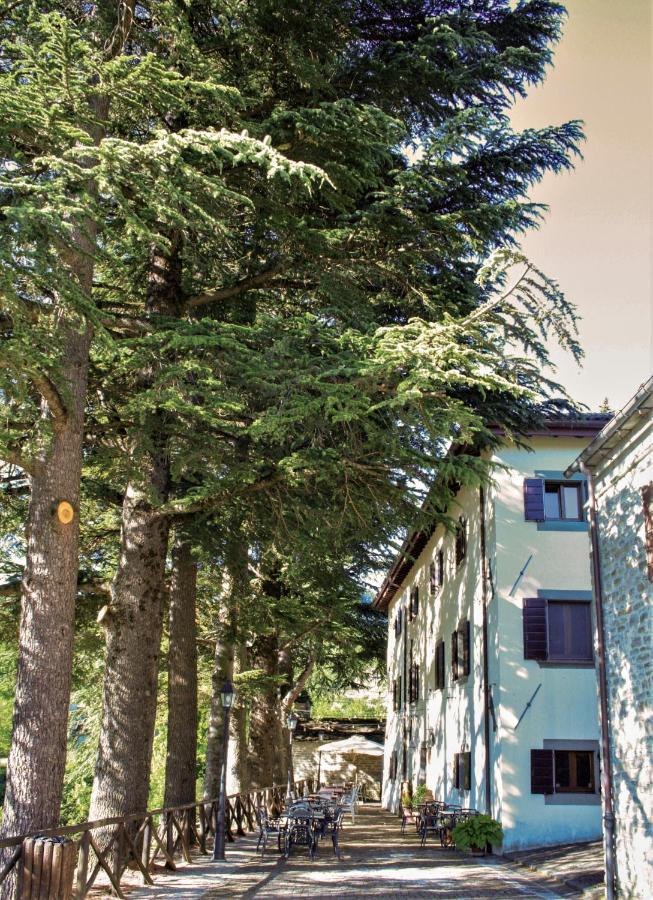 Il Palazzo Ridracoli Hotell Bagno di Romagna Eksteriør bilde
